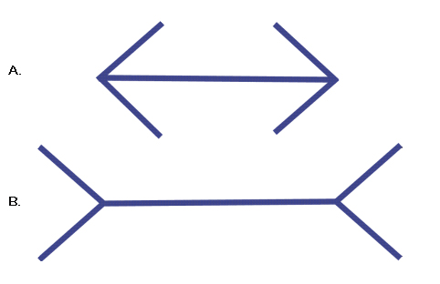 flechas-lineas-muller-lyer