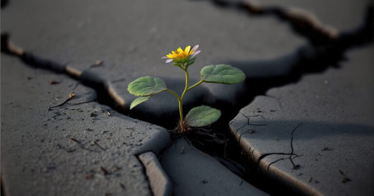 las grandes crisis mundiales