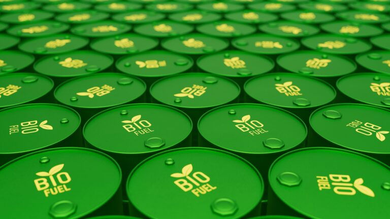 Innovaciones radicales después de grandes crisis