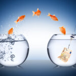 FOMO financiero o miedo a perderse oportunidades de inversión